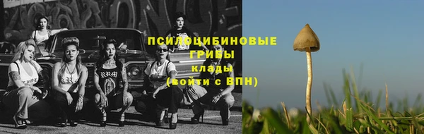 ALPHA PVP Алексин