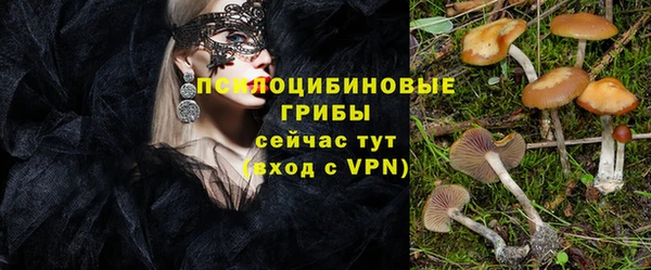 ALPHA PVP Алексин