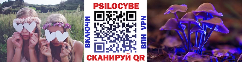 Псилоцибиновые грибы мицелий Краснознаменск
