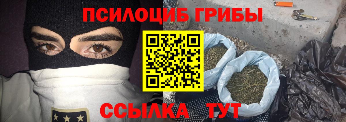 Псилоцибиновые грибы мицелий Краснознаменск
